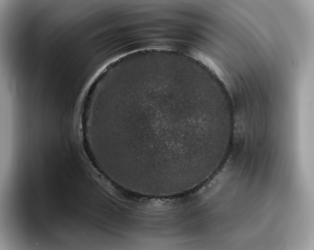 X0000094950923200711291410