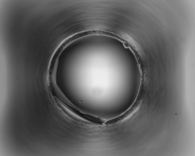 X0000094950924200711291410