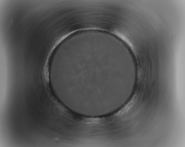 X0000094950925200711291410