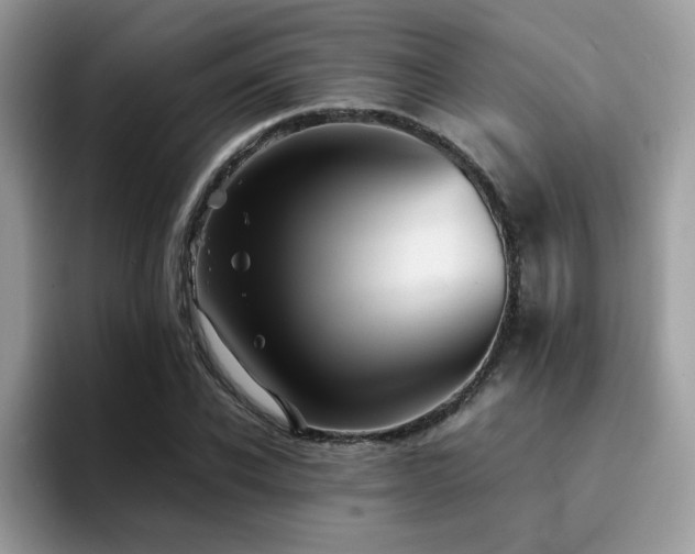 X0000094950926200711291410