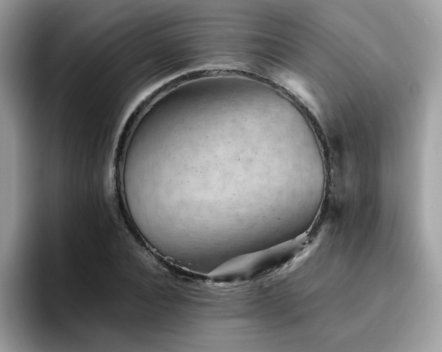 X0000094950928200711291410