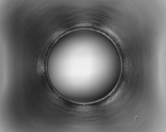 X0000094950929200711291410