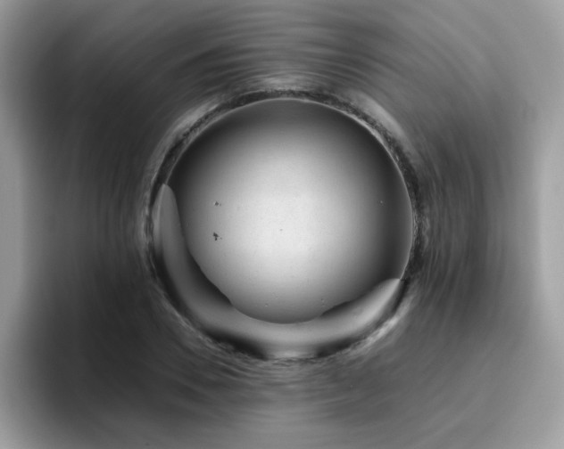 X0000094950930200711291410