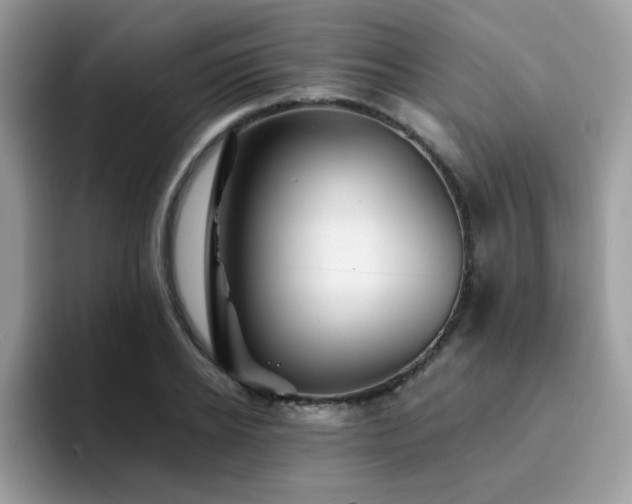 X0000094950934200711291410