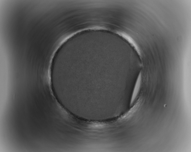 X0000094950935200711291410