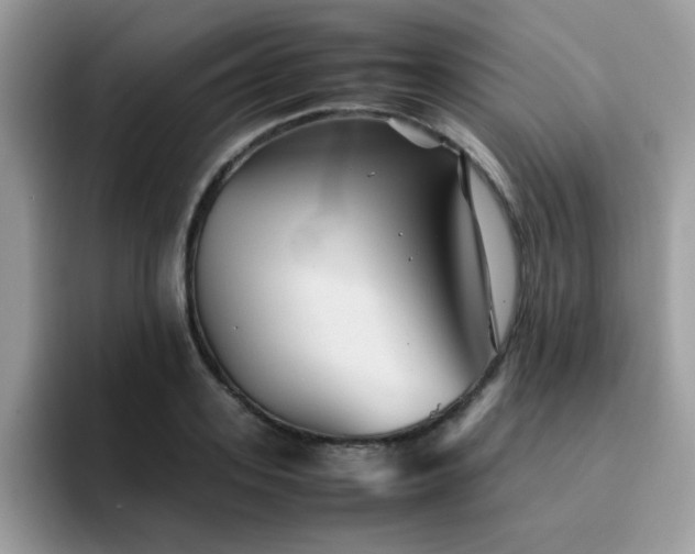 X0000094950939200711291410