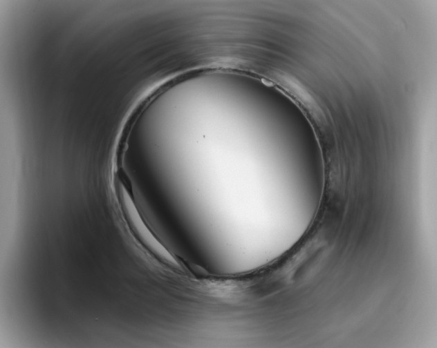 X0000094950940200711291410