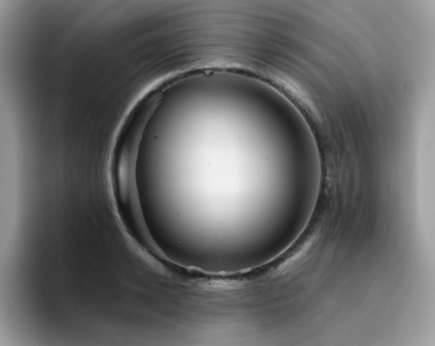X0000094950942200711291410