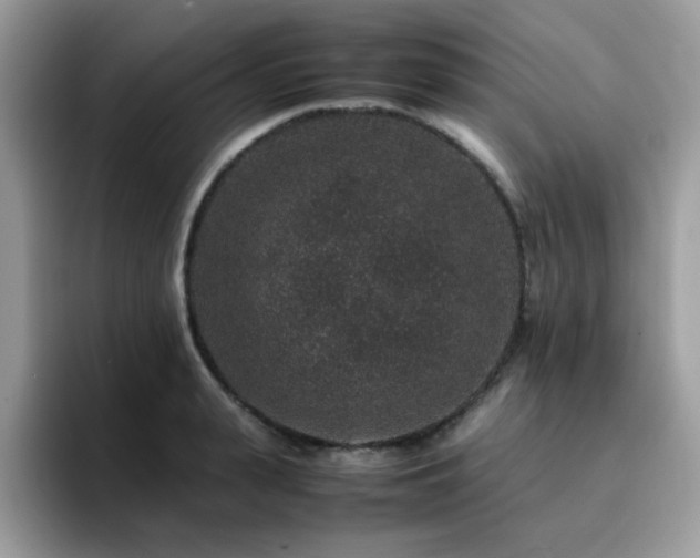 X0000094950943200711291410