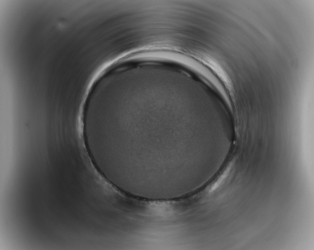 X0000094950944200711291410