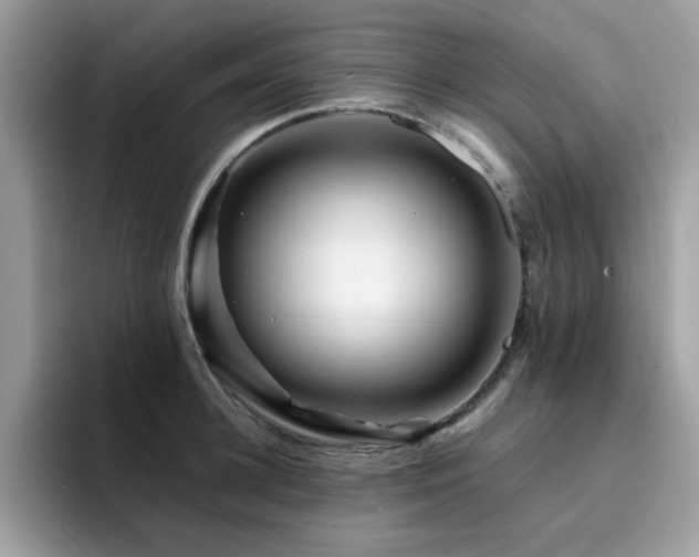 X0000094950948200711291411