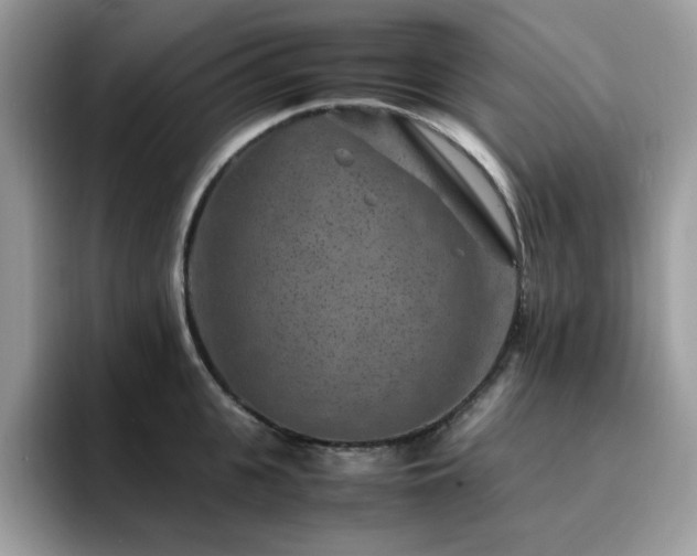 X0000094950951200711291411