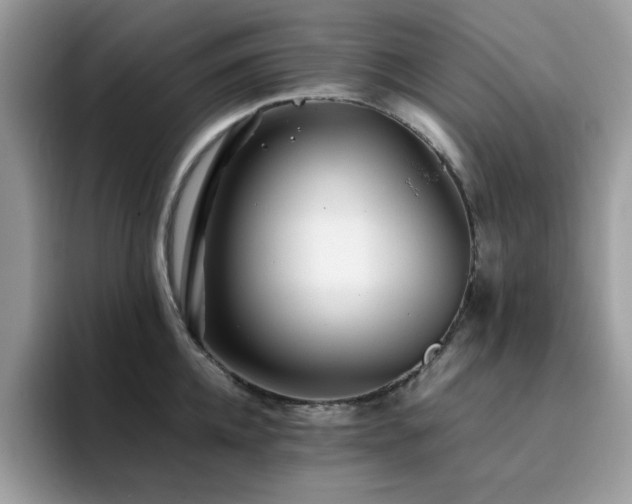 X0000094950952200711291411