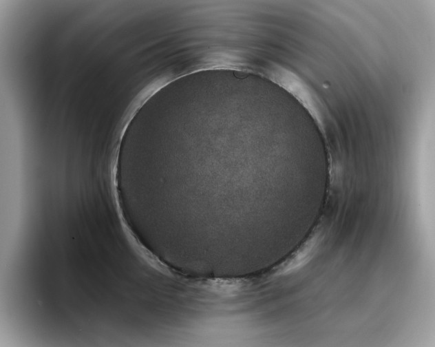 X0000094950954200711291411