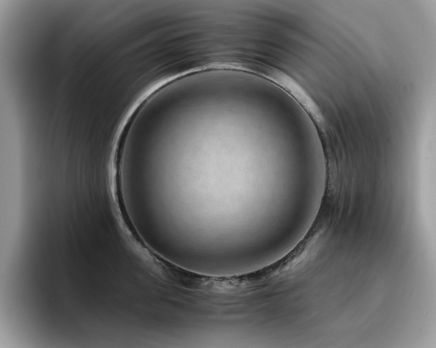 X0000094950955200711291411