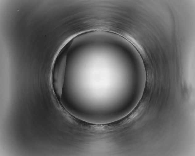 X0000094950956200711291411