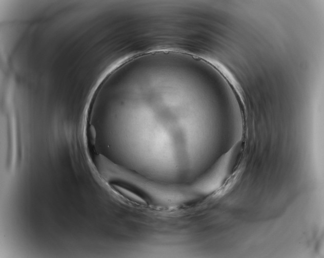 X0000094950957200711291411