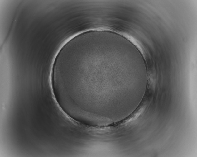 X0000094950959200711291411