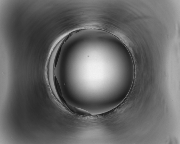 X0000094950960200711291411