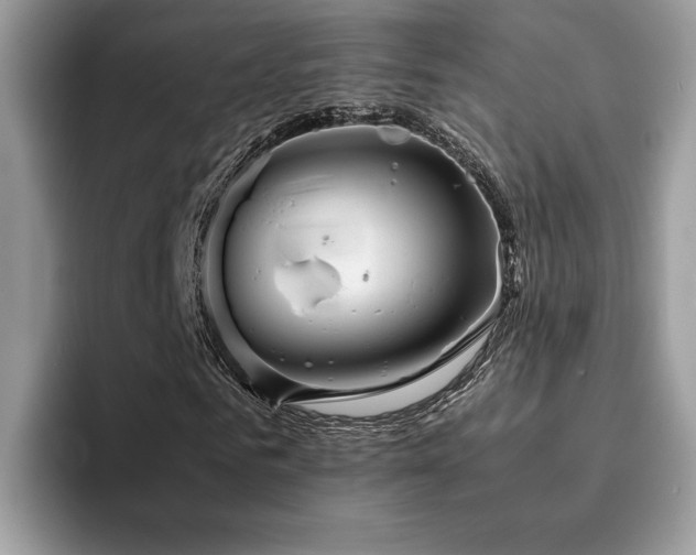 X0000094950961200711291410