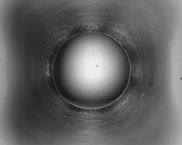 X0000094950962200711291410