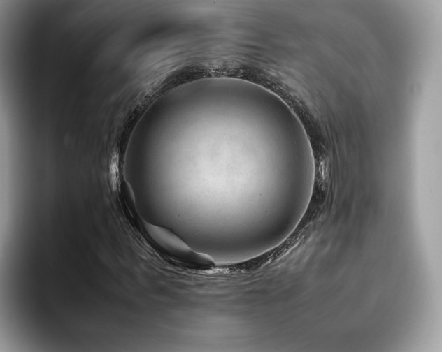X0000094950963200711291410