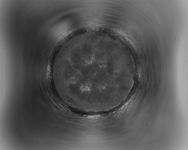 X0000094950964200711291410