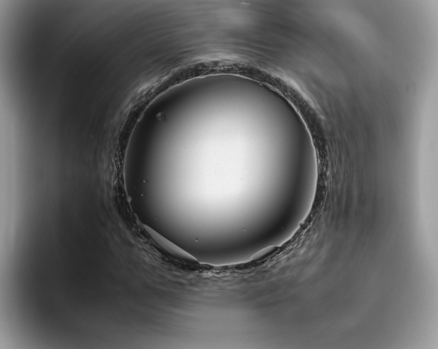 X0000094950967200711291410