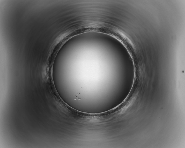 X0000094950970200711291410
