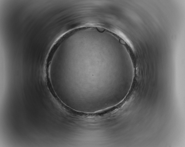 X0000094950972200711291410