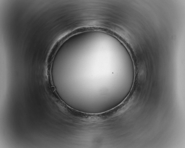 X0000094950974200711291410