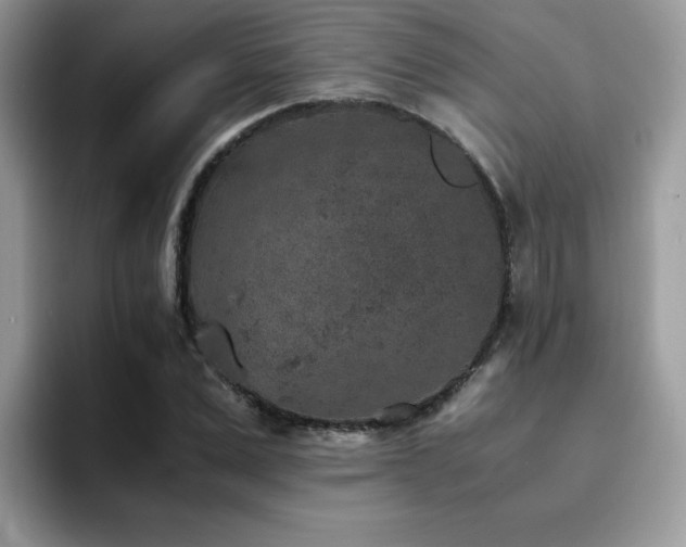 X0000094950975200711291410