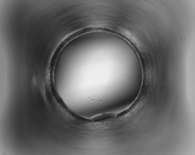 X0000094950976200711291410