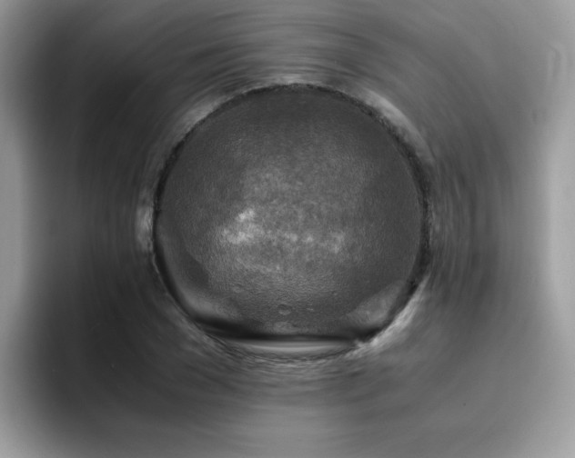 X0000094950977200711291410