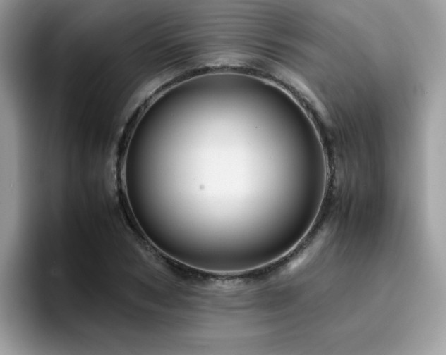 X0000094950978200711291410