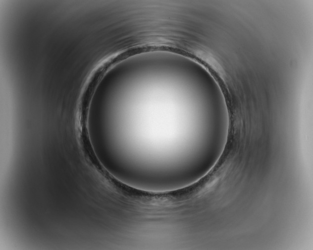 X0000094950979200711291410