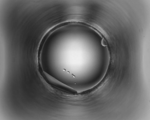 X0000094950980200711291410