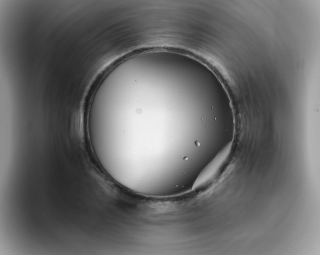 X0000094950982200711291410