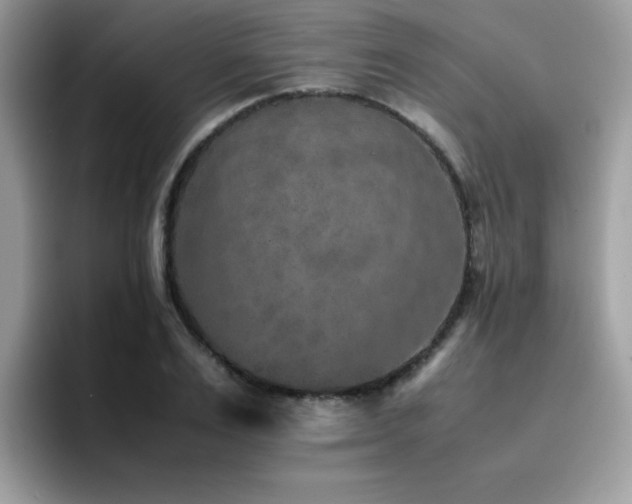 X0000094950983200711291410