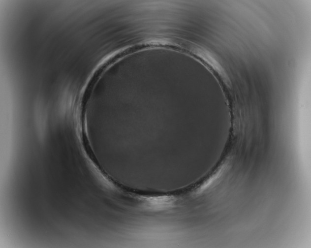 X0000094950984200711291410