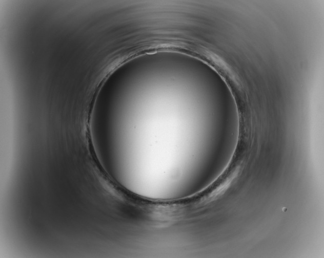 X0000094950985200711291410
