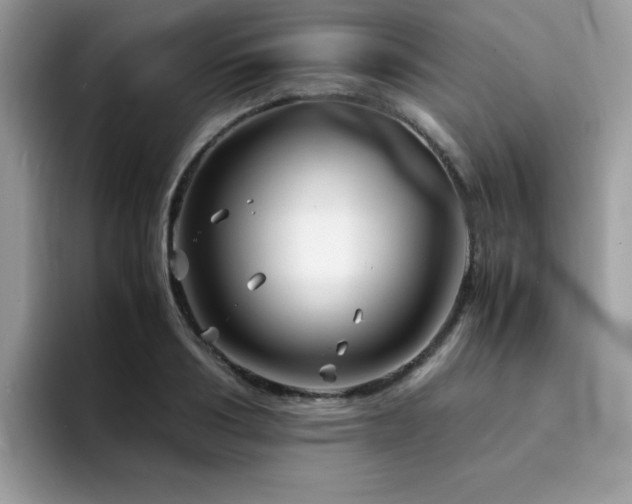X0000094950986200711291410
