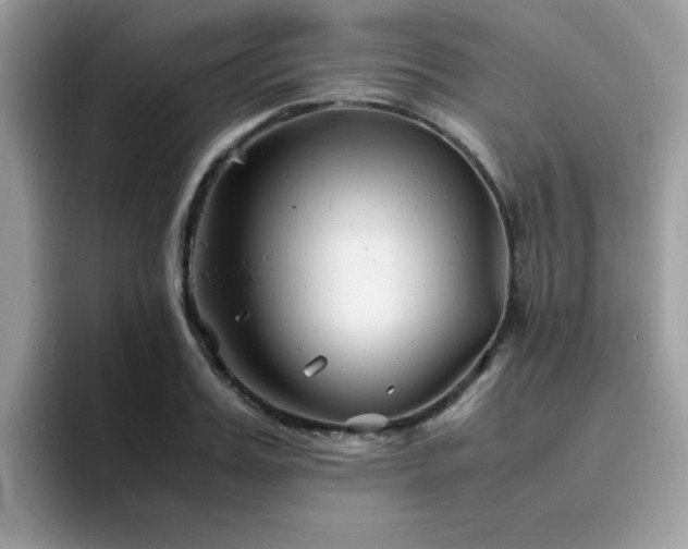 X0000094950987200711291410
