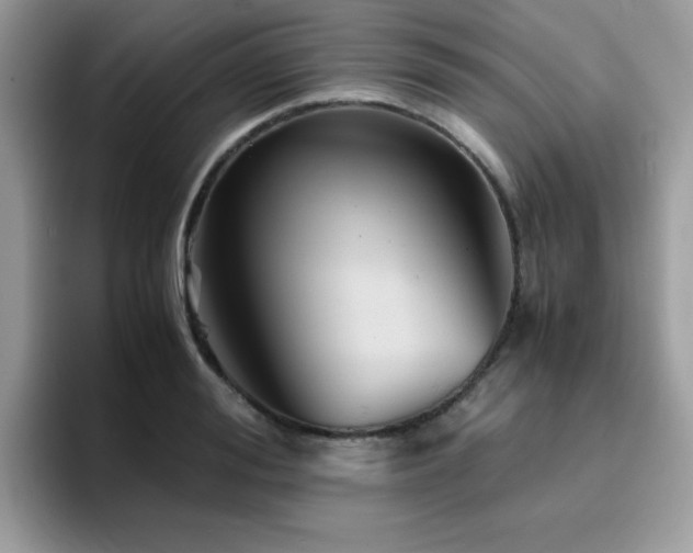 X0000094950988200711291410