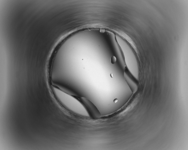 X0000094950989200711291410