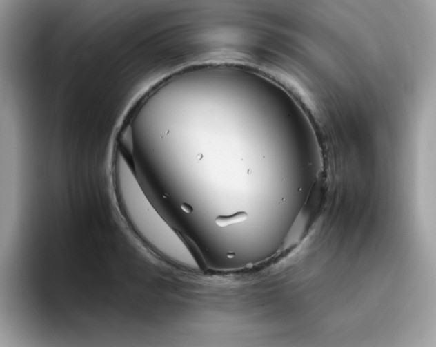 X0000094950990200711291410