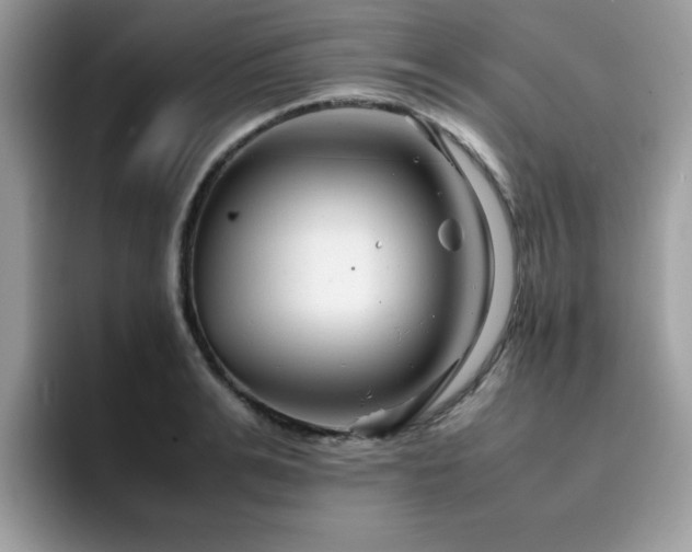 X0000094950991200711291410