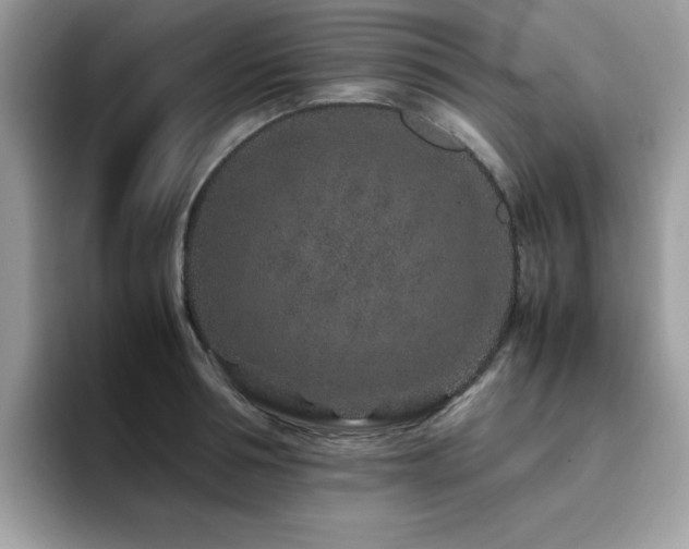 X0000094950994200711291410