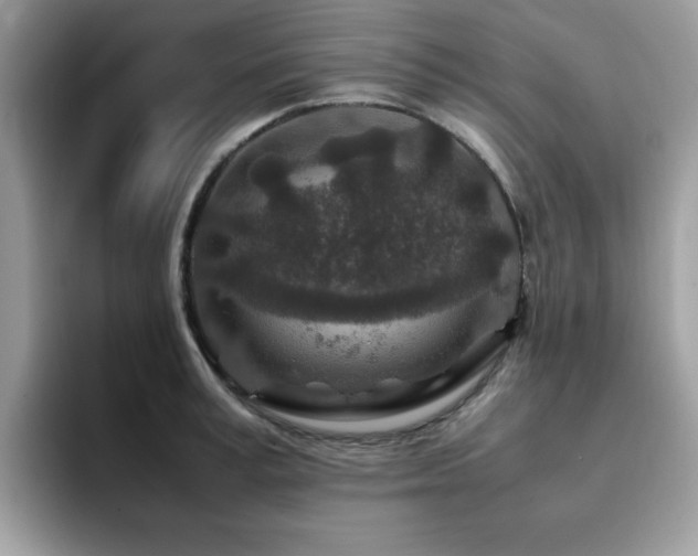X0000094950995200711291410