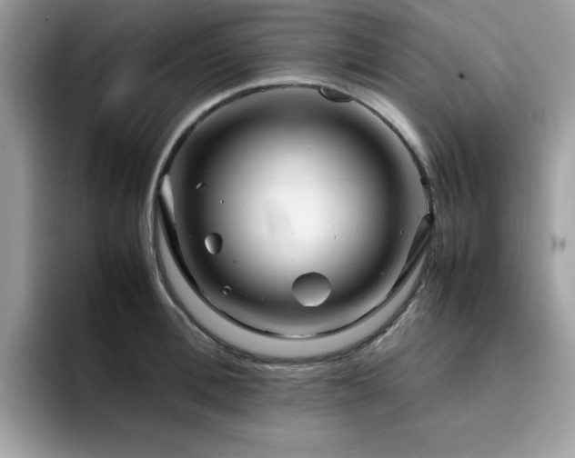 X0000094950996200711291410